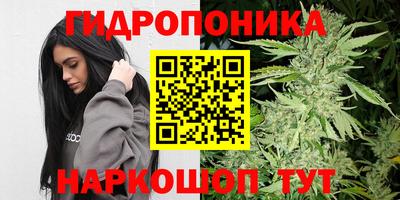 крисы Малоярославец