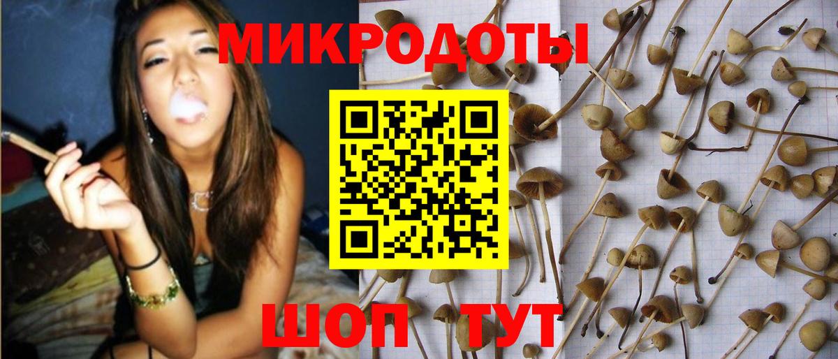 Удомля  Галлюциногенные грибы Magic Shrooms  купить  сайты  Вход с VPN  Галлюциногенные грибы GOLDEN TEACHER 